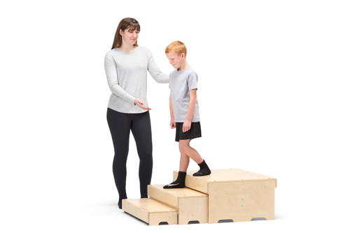 Platform & 2-in-1 Climbing Steps