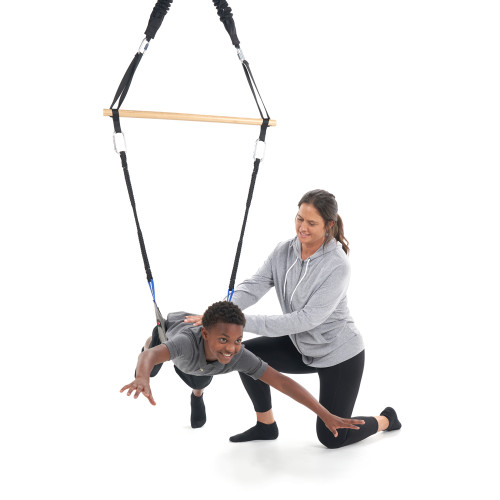 2-in-1 Frog Swing