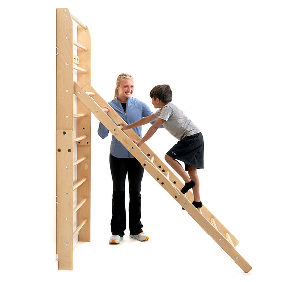 In-FUN-ity™ Ladder Climbing Wall