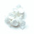 Old Fashioned Taffy - Vanilla Saltwater Taffy - 5.14 Oz. Bag