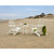 Trex Cape Cod Folding Adirondack Set with Side Table - TXS108-1 Trex Cape Cod Folding Adirondack Set with Side Table - TXS108-1