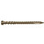 Trex Coastal Bluff Color Match Composite Deck Screw close-up showing sharp thread and drive design. Trex Coastal Bluff Color Match Composite Deck Screw close-up showing sharp thread and drive design.