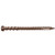 Lava Rock finish Trex Composite Deck Screw close-up with aggressive threads. Lava Rock finish Trex Composite Deck Screw close-up with aggressive threads.
