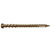 Trex Color Match Deck Screw in Spiced Rum finish with epoxy-coated threads and star-drive head. Trex Color Match Deck Screw in Spiced Rum finish with epoxy-coated threads and star-drive head.
