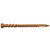 Trex Color Match Deck Screw in Tiki Torch finish showing epoxy-coated body and sharp tip. Trex Color Match Deck Screw in Tiki Torch finish showing epoxy-coated body and sharp tip.