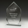 Glass Arrowhead Award 255mm Glass Arrowhead Award 255mm