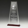 Guardian Award Red 290mm Guardian Award Red 290mm