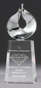 Crystal Award 250mm