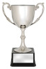 Recognition Cups 235mm