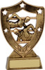 Swimming Shield Trophy Gold 155mm