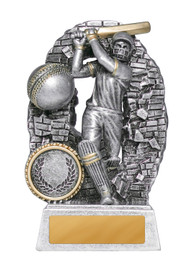 Breaking Down Barriers-Batter Male 130mm