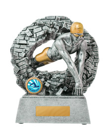 Breaking Down Barriers-Swimming Male 160mm