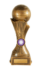 Netball Crusader Trophy Gold 200mm Netball Crusader Trophy Gold 200mm