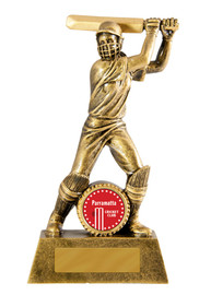 Cricket All Action Batsman F Trophy 160mm Cricket All Action Batsman F Trophy 160mm