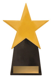 Achievement Star Trophy 210mm Achievement Star Trophy 210mm