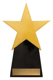 Achievement Star Trophy 255mm Achievement Star Trophy 255mm