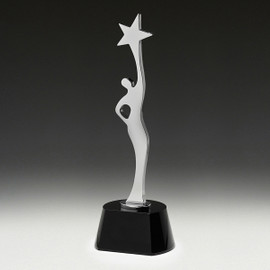 Crystal Award 290mm Crystal Award 290mm