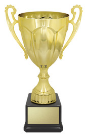 Rubicon Gold Cup 255mm