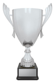 Ironside Cup - Silver 490mm