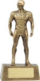 Swimming Male Hero Trophy Gold 155mm