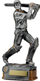 Cricket Trophy Silver 285mm