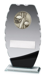 Cricket Clipped Oval Trophy 210mm