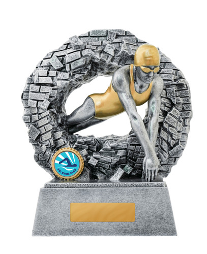 Breaking Down Barriers-Swimming Female 160mm