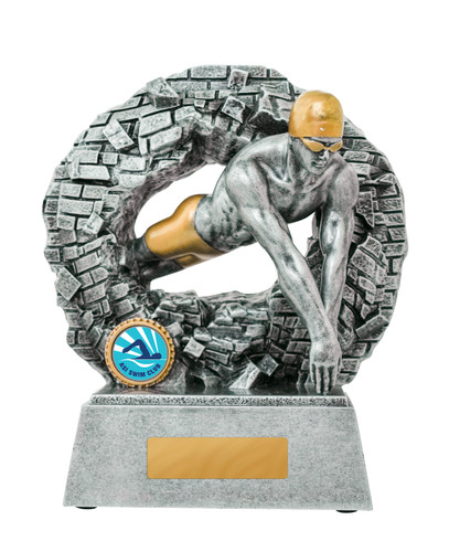 Breaking Down Barriers-Swimming Male 160mm