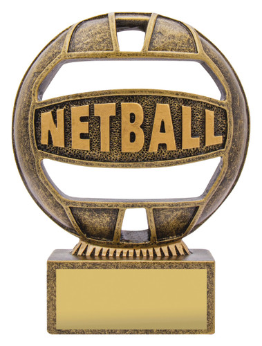 Netball The Ball Trophy 110mm Netball The Ball Trophy 110mm