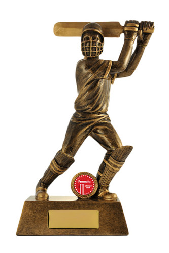 Cricket All Action Batsman M Trophy 270mm Cricket All Action Batsman M Trophy 270mm