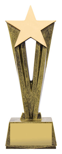 Achievement Star Raised Trophy 220mm Achievement Star Raised Trophy 220mm