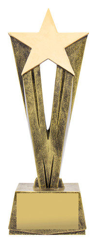 Achievement Star Raised Trophy 275mm Achievement Star Raised Trophy 275mm