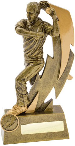 Cricket Shazam F/Bowler Trophy Gold 230mm