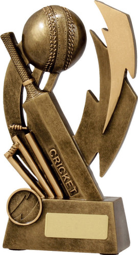 Cricket Shazam Trophy Gold 205mm