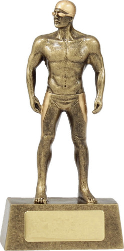 Swimming Male Hero Trophy Gold 155mm
