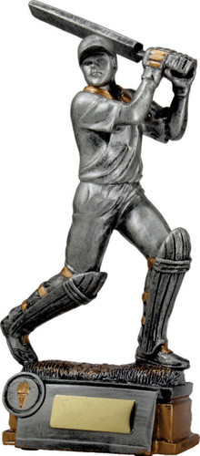 Cricket Trophy Silver 245mm