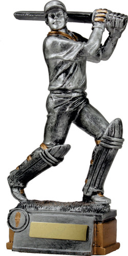 Cricket Trophy Silver 285mm
