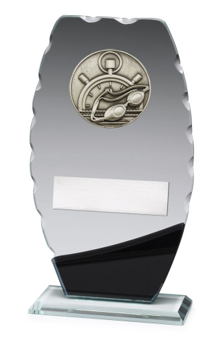 Swimming Clipped Oval Trophy 210mm