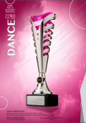 some-really-different-trophies-dance-2022.png