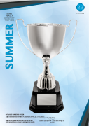 some-really-different-trophies-summer-2023.png