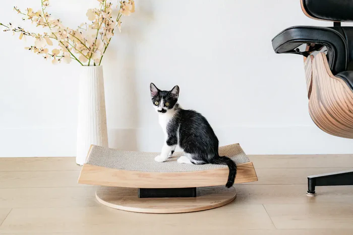 Torii Serenity Solid‑Ash Cat Scratching Stand