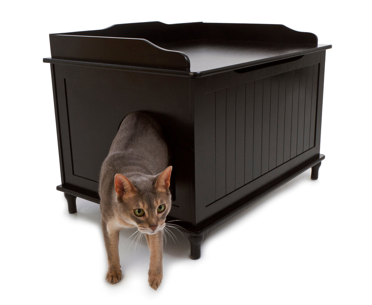 Catbox Litter Box Enclosure