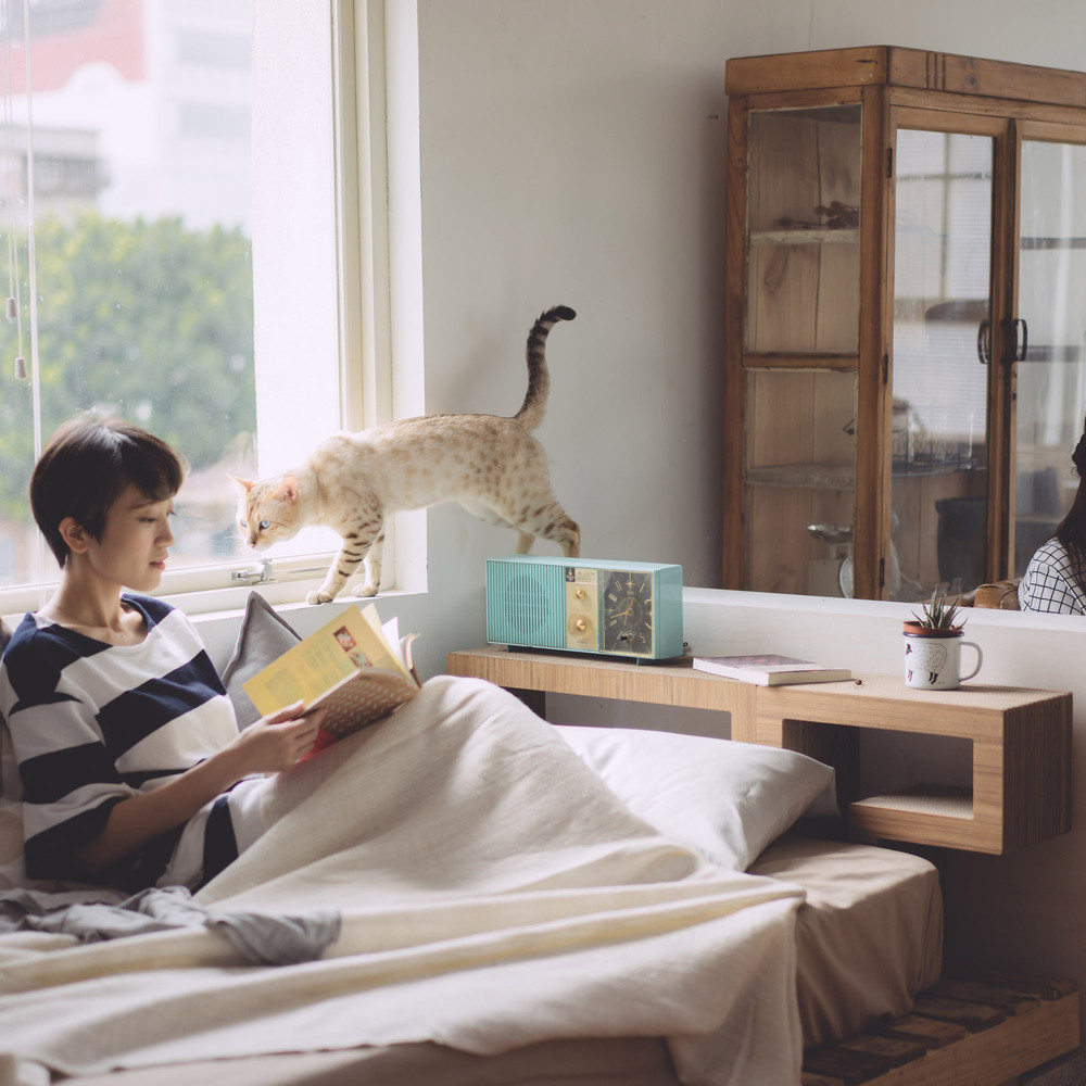 Japanese Cat Sized Furniture Modular Cat Tree Wood Teak