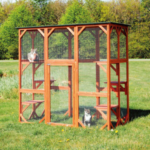 Wooden Outdoor Cattery
