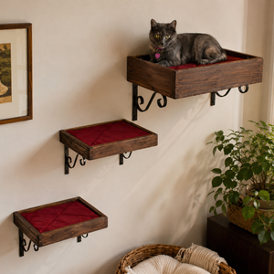 Artisan Made - (2) Floating Cat Wall Shelves + (1) Floating Cat Wall Bed