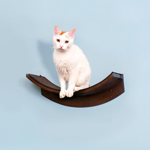Eleganza Cat Wall Shelf Eleganza Cat Wall Shelf
