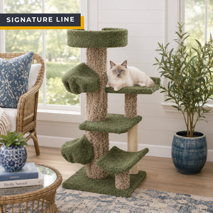 Cat's Choice 45" Sculpted Cat Tree with Multiple Tiered Perches