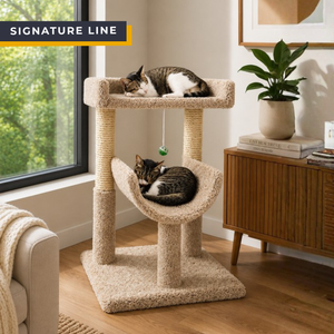 Cat's Choice 30" Cat Tree Window Perch with Scratch Posts
