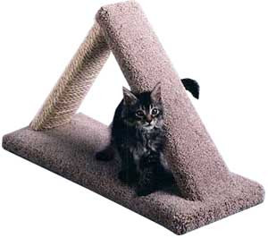 Cat Scratch Triangle Cat Scratch Triangle