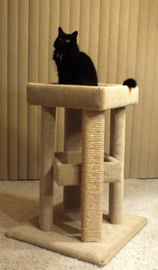 Four Corner Cat Sleeper Four Corner Cat Sleeper
